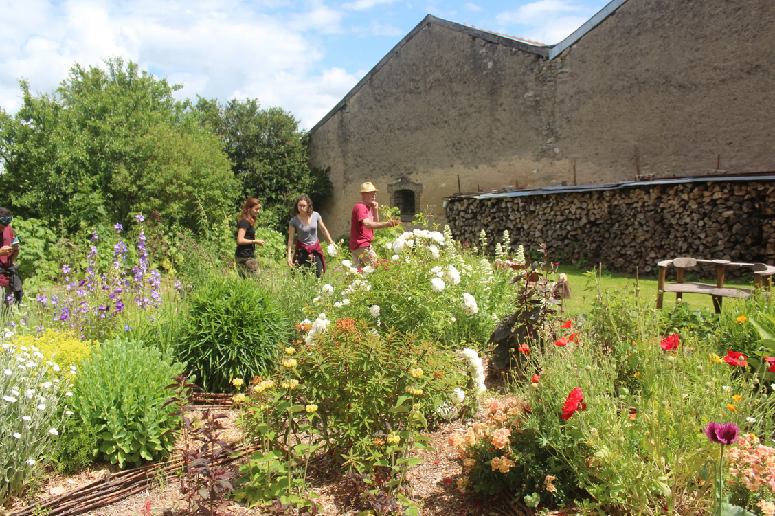 Description de l'image